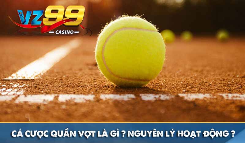Cá cược quần vợt là gì? Nguyên lý hoạt động ra sao