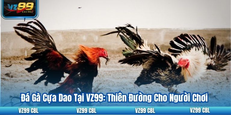 Đá Gà Cựa Dao Tại VZ99: Thiên Đường Cho Người Chơi