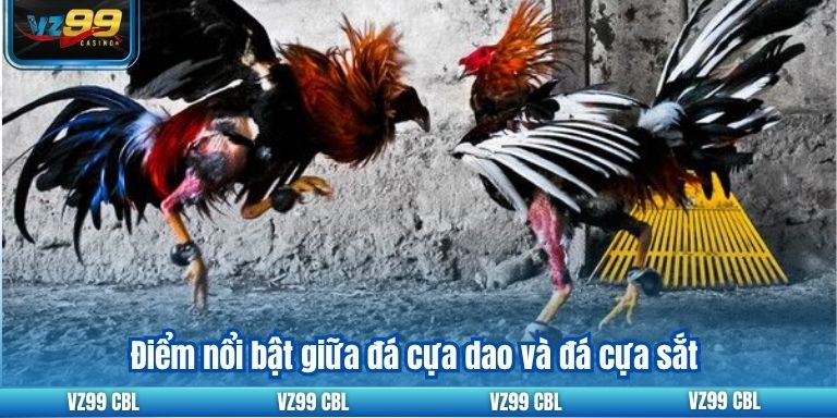 Điểm nổi bật giữa đá cựa dao và đá cựa sắt