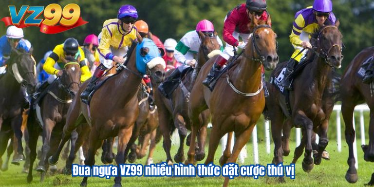 Đua ngựa VZ99 nhiều hình thức đặt cược thú vị