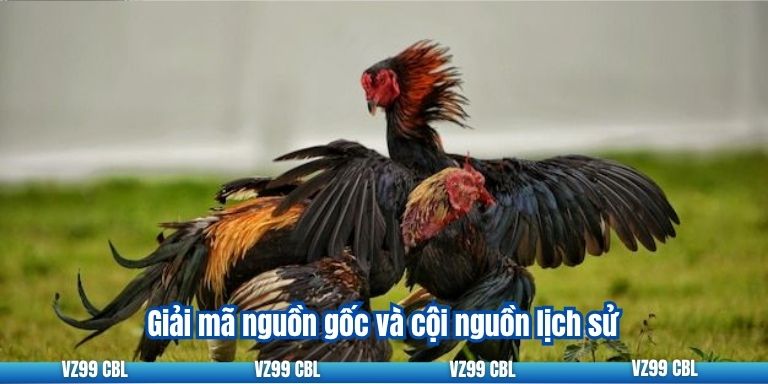 Giải mã nguồn gốc và cội nguồn lịch sử