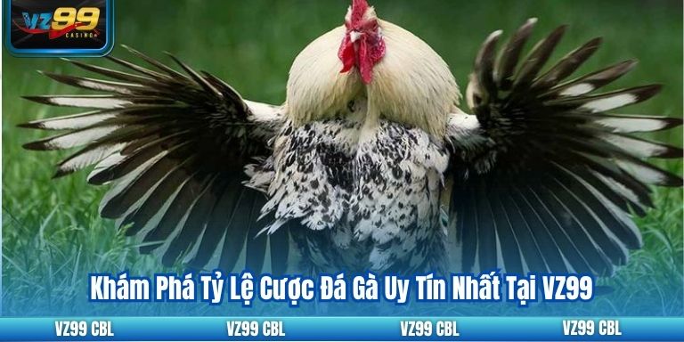 Khám Phá Tỷ Lệ Cược Đá Gà Uy Tín Nhất Tại VZ99