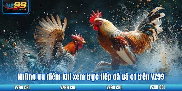 Những ưu điểm khi xem trực tiếp đá gà c1 trên VZ99
