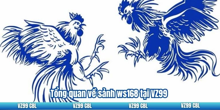 An toàn và bảo mật là ưu tiên của WS168