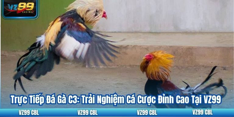 Trực Tiếp Đá Gà C3: Trải Nghiệm Cá Cược Đỉnh Cao Tại VZ99