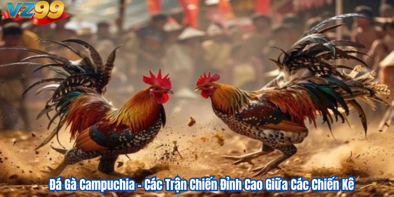 Đá Gà Campuchia – Các Trận Chiến Đỉnh Cao Giữa Các Chiến Kê