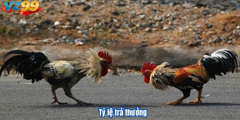 Tỷ lệ trả thưởng